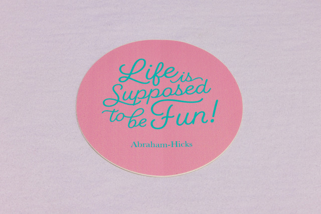 "Life Is Supposed To Be Fun" Sticker